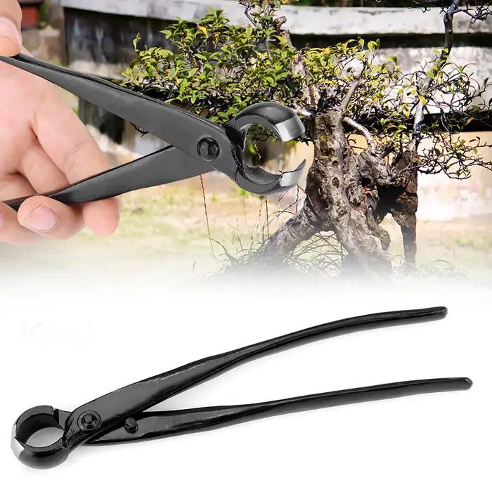 Lame tranchante professionnelle, bord rond, bouton Concave, coupe-branches, outils de bonsaï de jardin