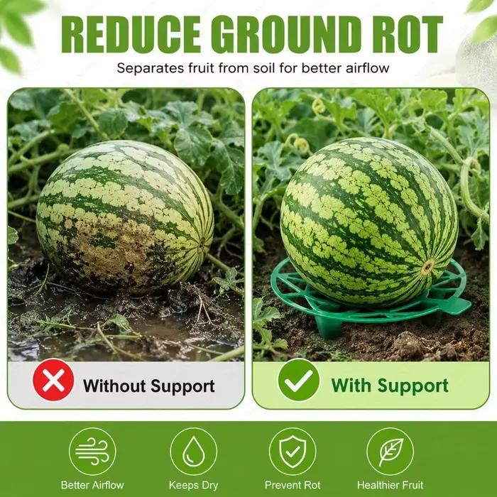Support de maintien pour pastèque