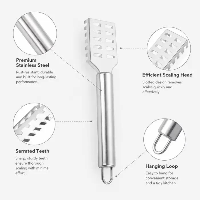 Couteau à écailles de poisson en acier inoxydable avec bord dentelé pour gratter