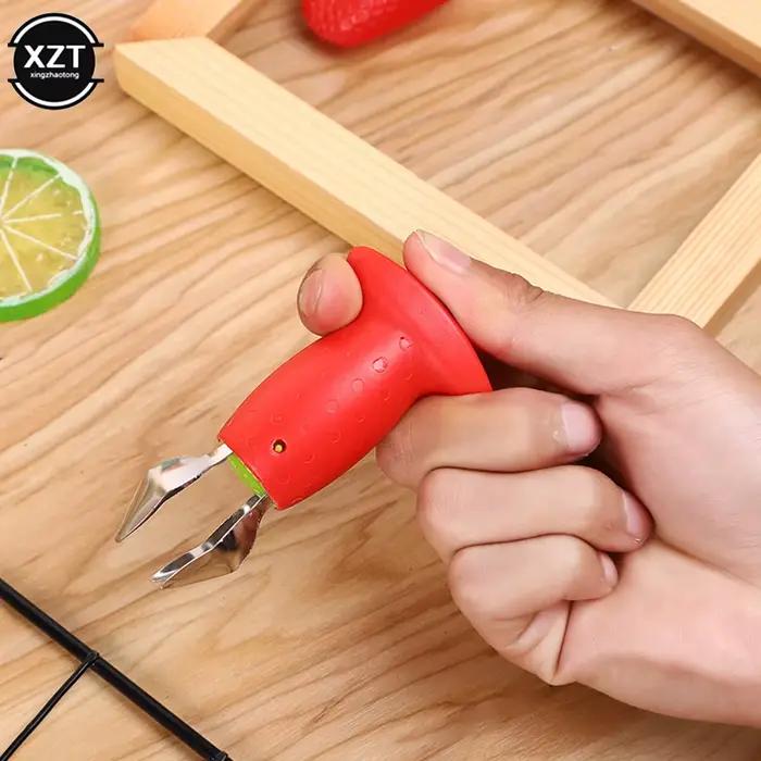 Dissolvant de fruits et de cuir chevelu créatif pour la maison