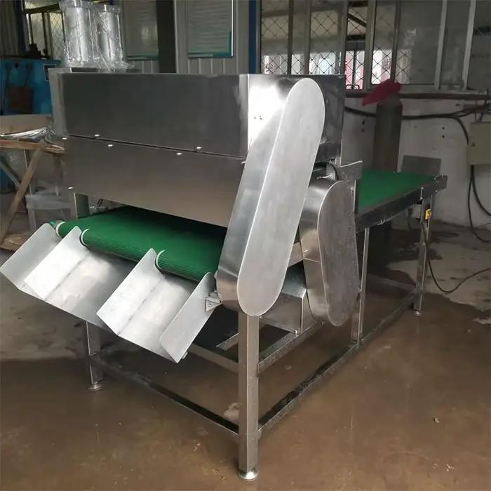 Machine à trancher les filets de poisson congelé, coupe-saumon en cubes, équipement commercial de transformation du poisson, personnalisable