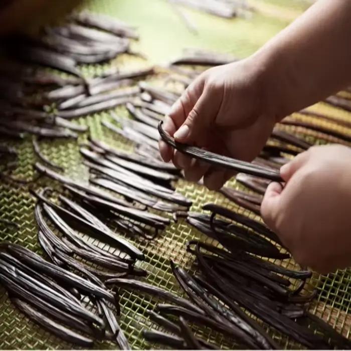 10 pièces de gousses de vanille naturelle de Madagascar