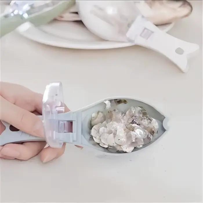 Écailleur de poisson rapide en plastique avec couvercle