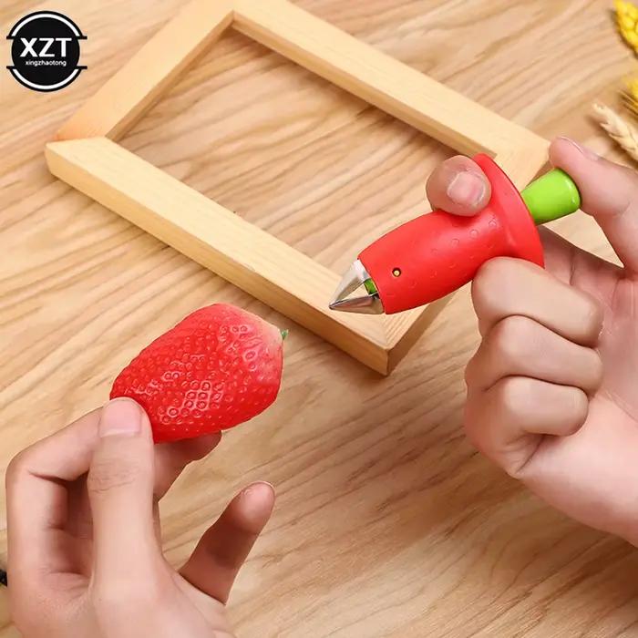 Dissolvant de fruits et de cuir chevelu créatif pour la maison