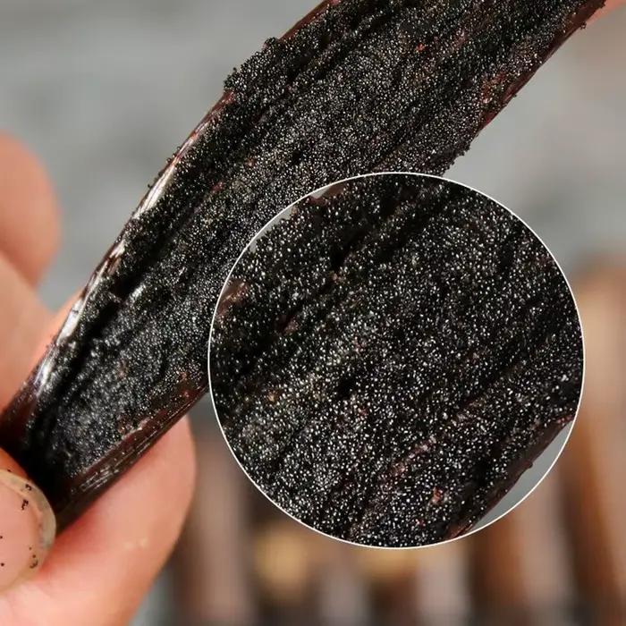 Grade AAAAA(14-15 cm) Essence naturelle Madagascar haricots vanille arôme intense pour extrait