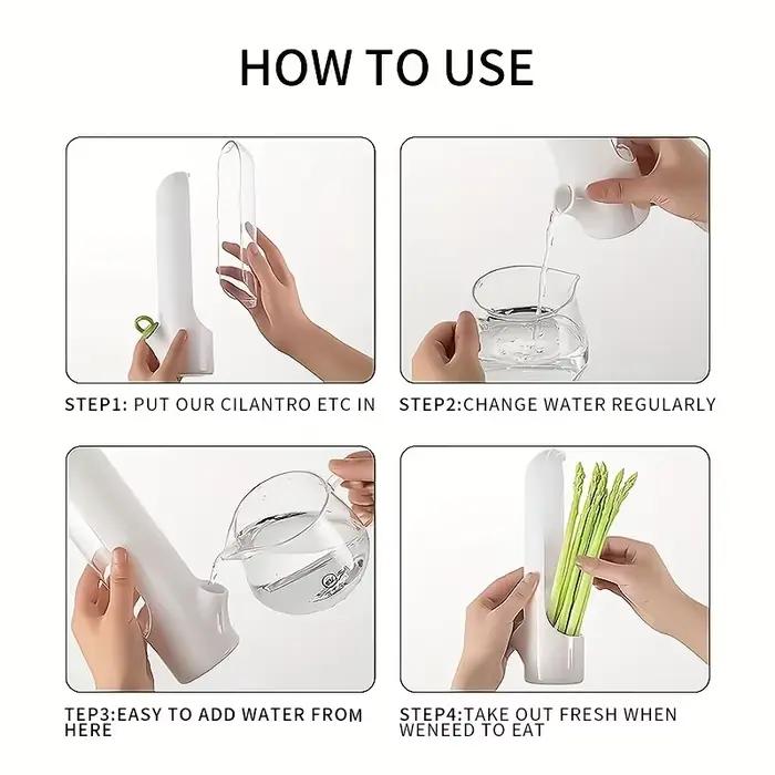 Boîte de conservation des légumes et des chauves fraîches