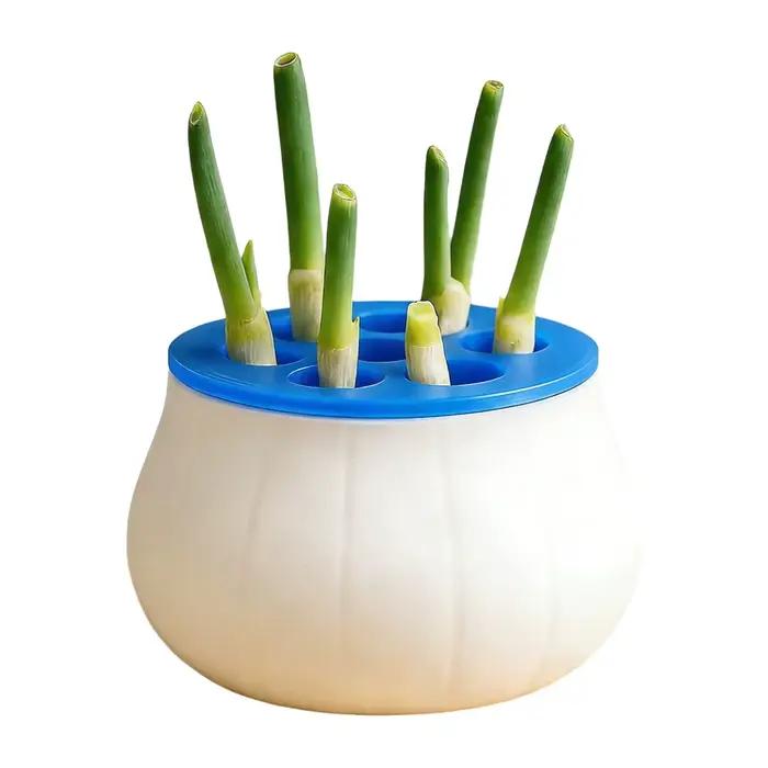 Jardinière à oignon vert à design peu encombrant