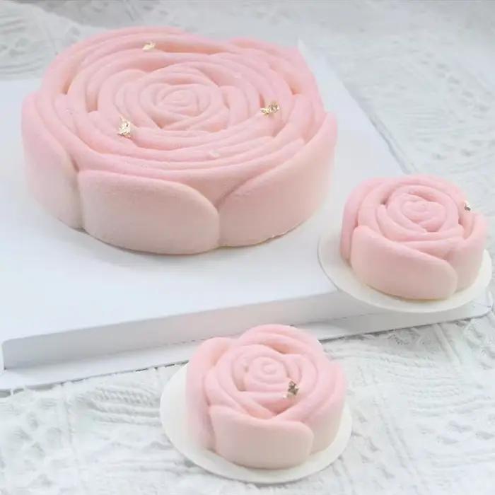 Moule de cuisson en Silicone pour pâtisserie
