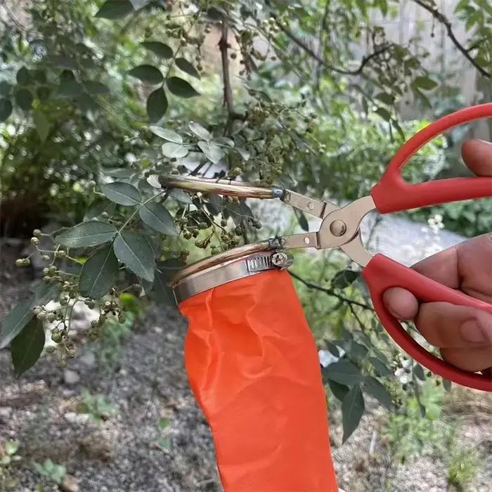 Ciseaux à poivre réutilisables, sélecteur de baies, outils de quincaillerie de jardin agricole portables, outil de cueilleur de poires pour ferme de jardin