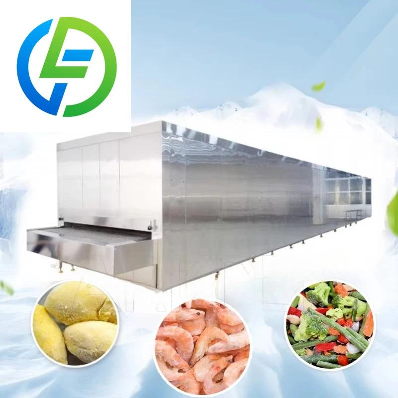 Les fabricants fournissent des congélateurs pour fruits et légumes | Équipement de congélation rapid