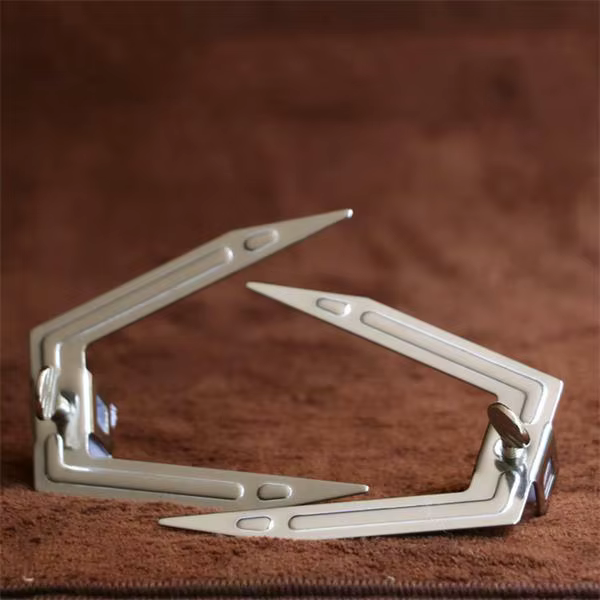 Fourchette Jetable en Acier pour Friteuse à Air, Accessoires de Rôtissoire BBQ, Rôti, Modules Jetabl