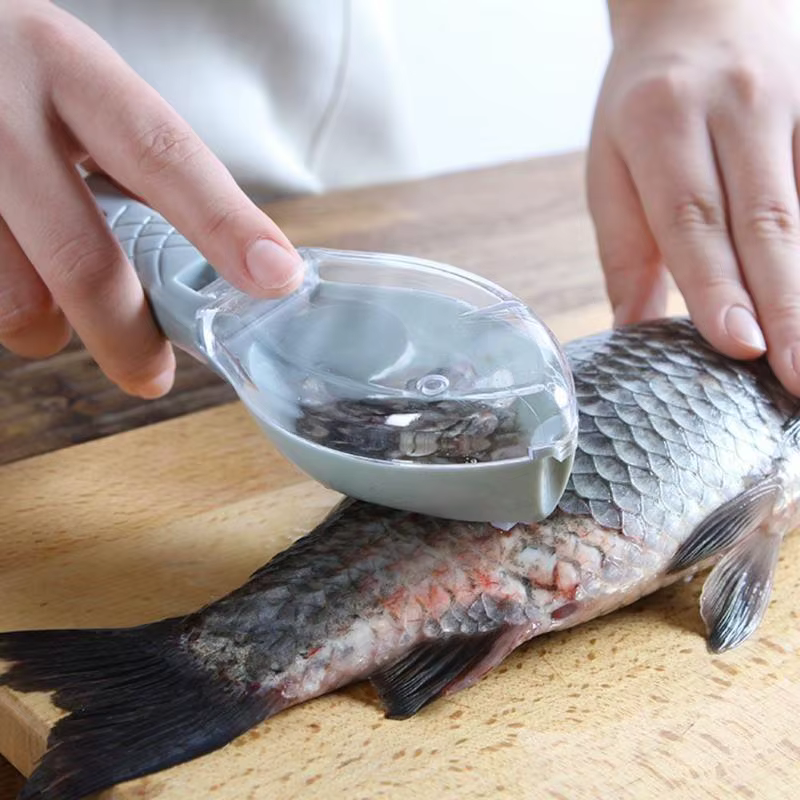 Râpes à écailles de poisson, grattoir, outil de nettoyage du poisson, dispositif de grattage avec co