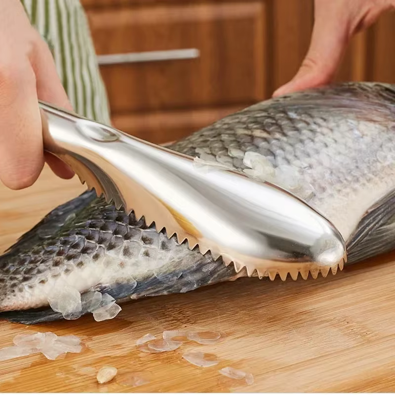 Couteau à écailles de poisson en acier inoxydable, grattoir à peau de poisson, livres de pêche, outi