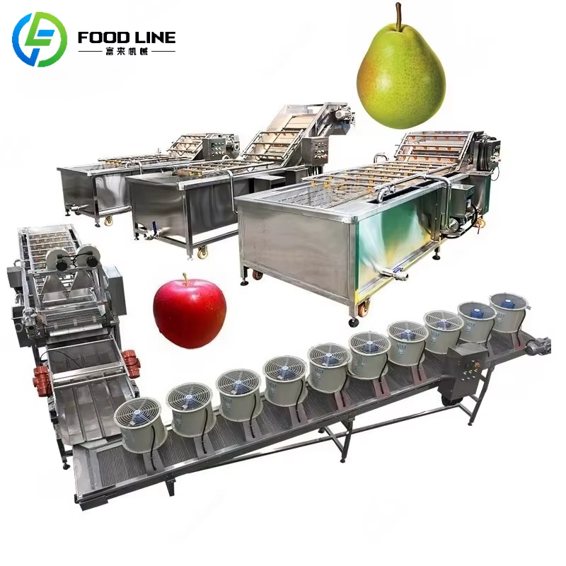 Machine de lavage et de séchage d'air pour légumes et fruits, installation complète de pommes aux fr