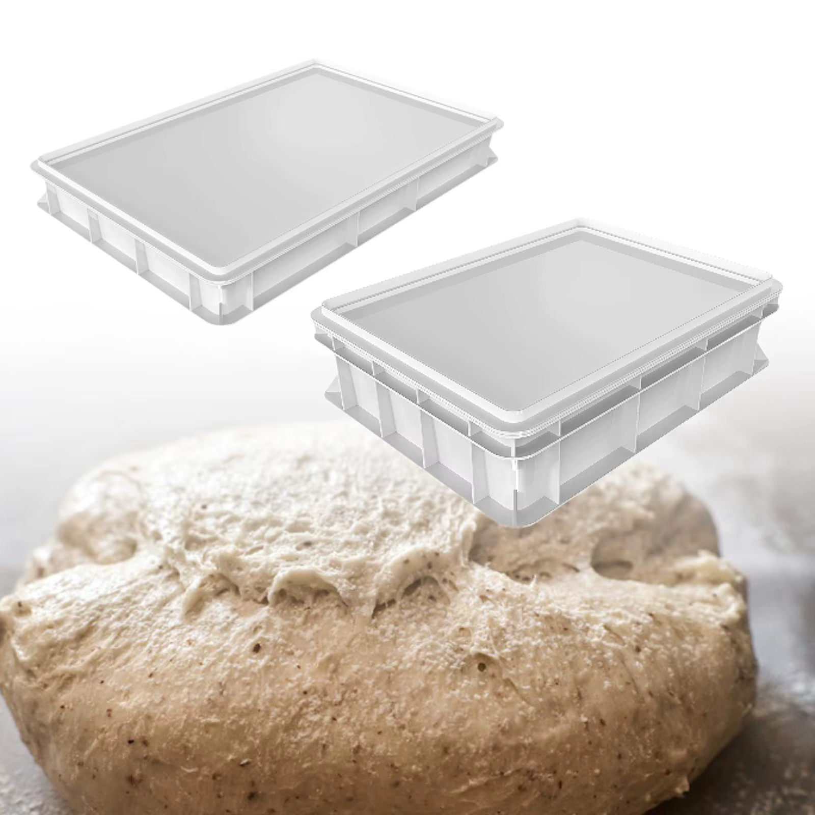 Boîte d'épreuve des pâte, plateau à pâte à Pizza, grande capacité, multifonction pour réfrigérateur,