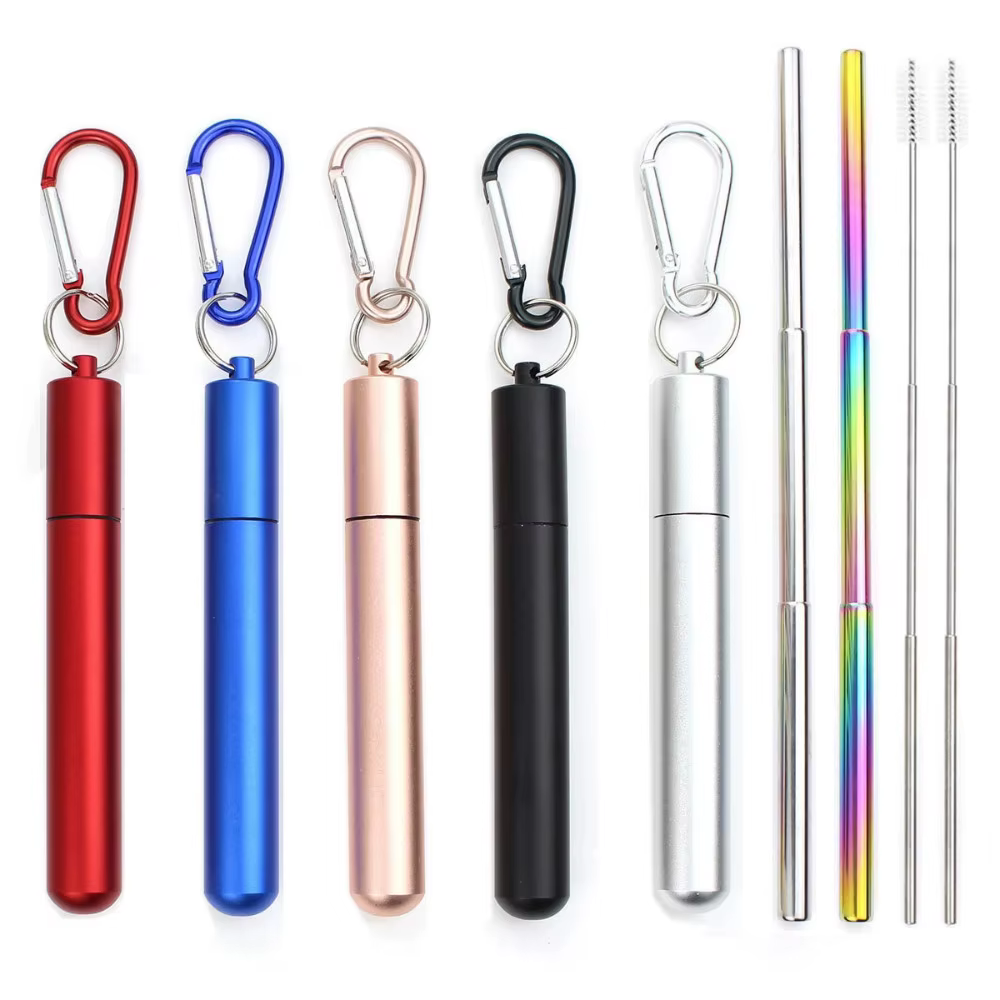 Paille Télescopique Réutilisable en Acier Inoxydable 304, Paille D.lique avec Brosse pour Livres, En