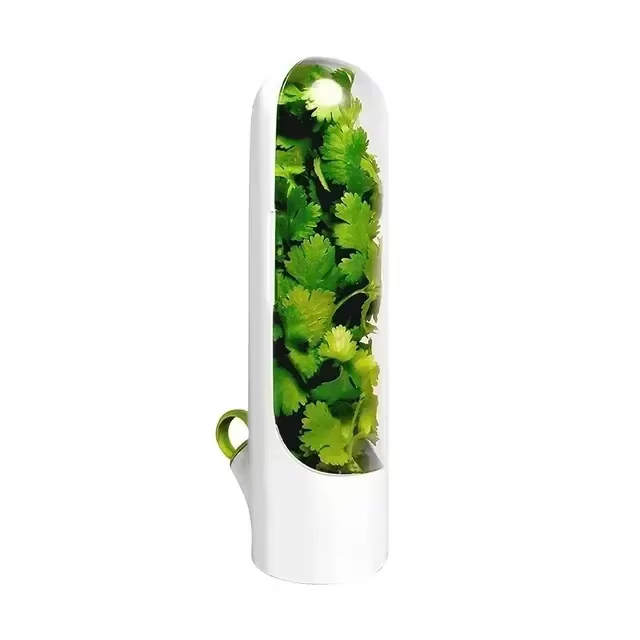 Conteneur de stockage d'herbes domestique, Transparent et hermétique, vert persil, organisateur de r