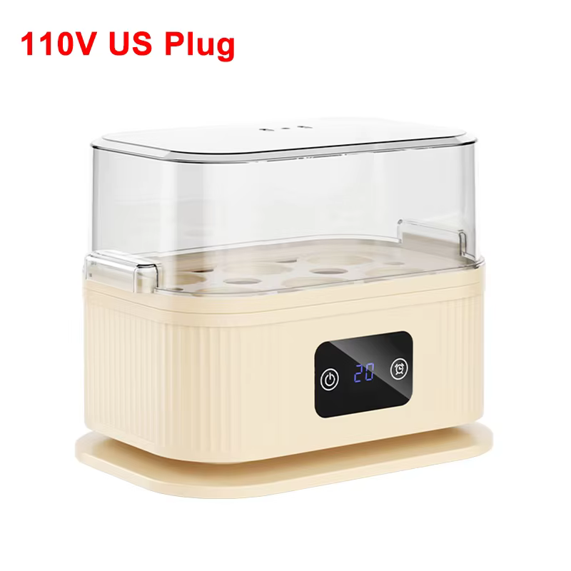 Cuiseur à œufs électrique, bouilloire à œufs électrique, capacité de 6 œufs, cuiseur à œufs électriq