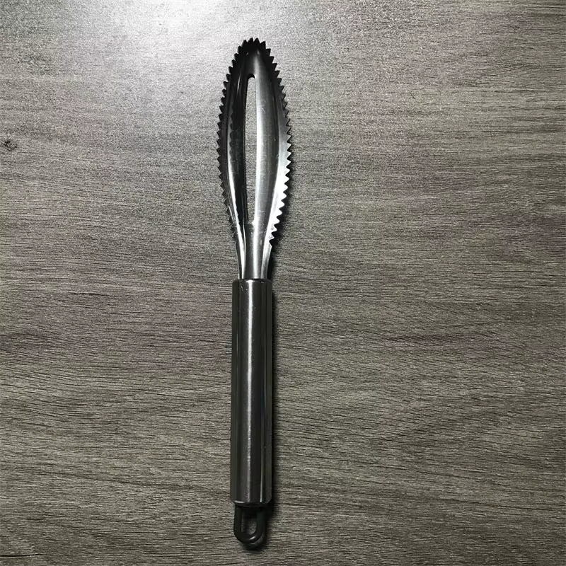 Nettoyeur d'écailles de poisson en acier inoxydable, grattoir, éplucheur, outil, peau de poisson, ra