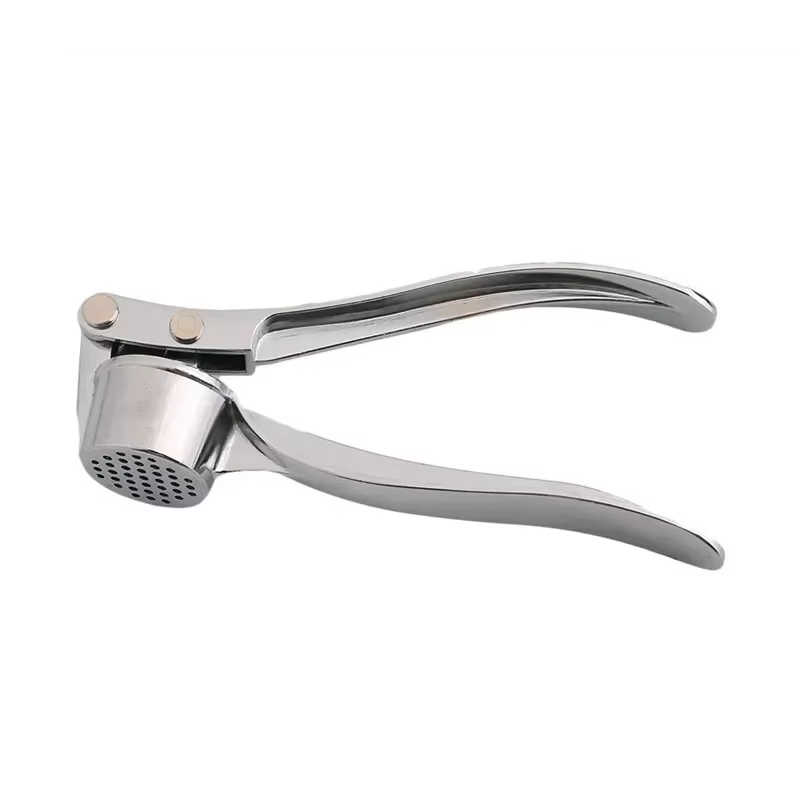 Presse-ail manuel en acier inoxydable, Gadget de cuisine pour la maison, parfait pour la pâte d'ail,