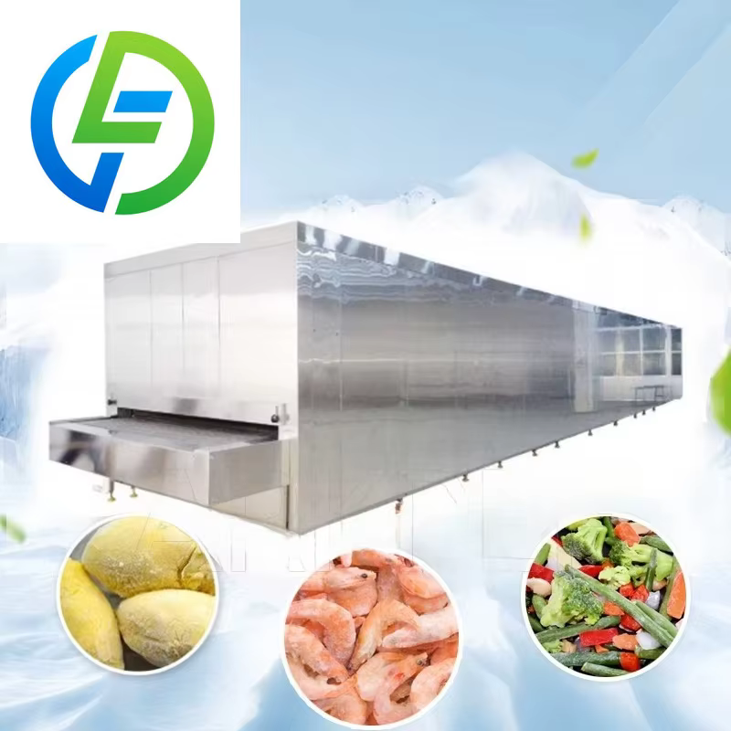 Les fabricants fournissent des congélateurs pour fruits et légumes | Équipement de congélation rapid
