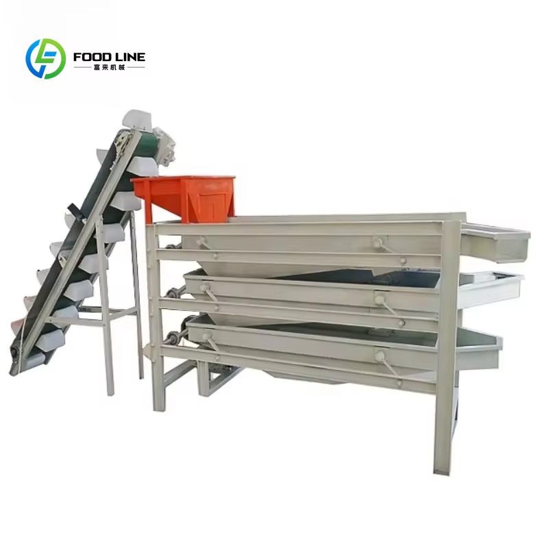 Ligne de production personnalisée de noisettes grillées, machine à torréfier les cacahuètes enrobées