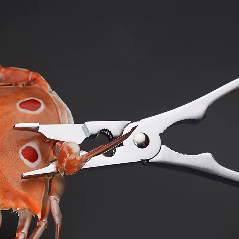 Ensemble d'outils en acier inoxydable pour la cueillette de la viande de crabe, pinces à crabe, pinc