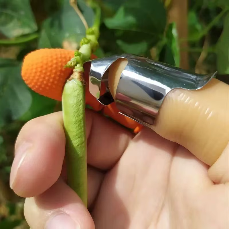 Ensemble de couteaux à pouce, cueillette de fruits et légumes, plantes en pot, couteau Portable, out