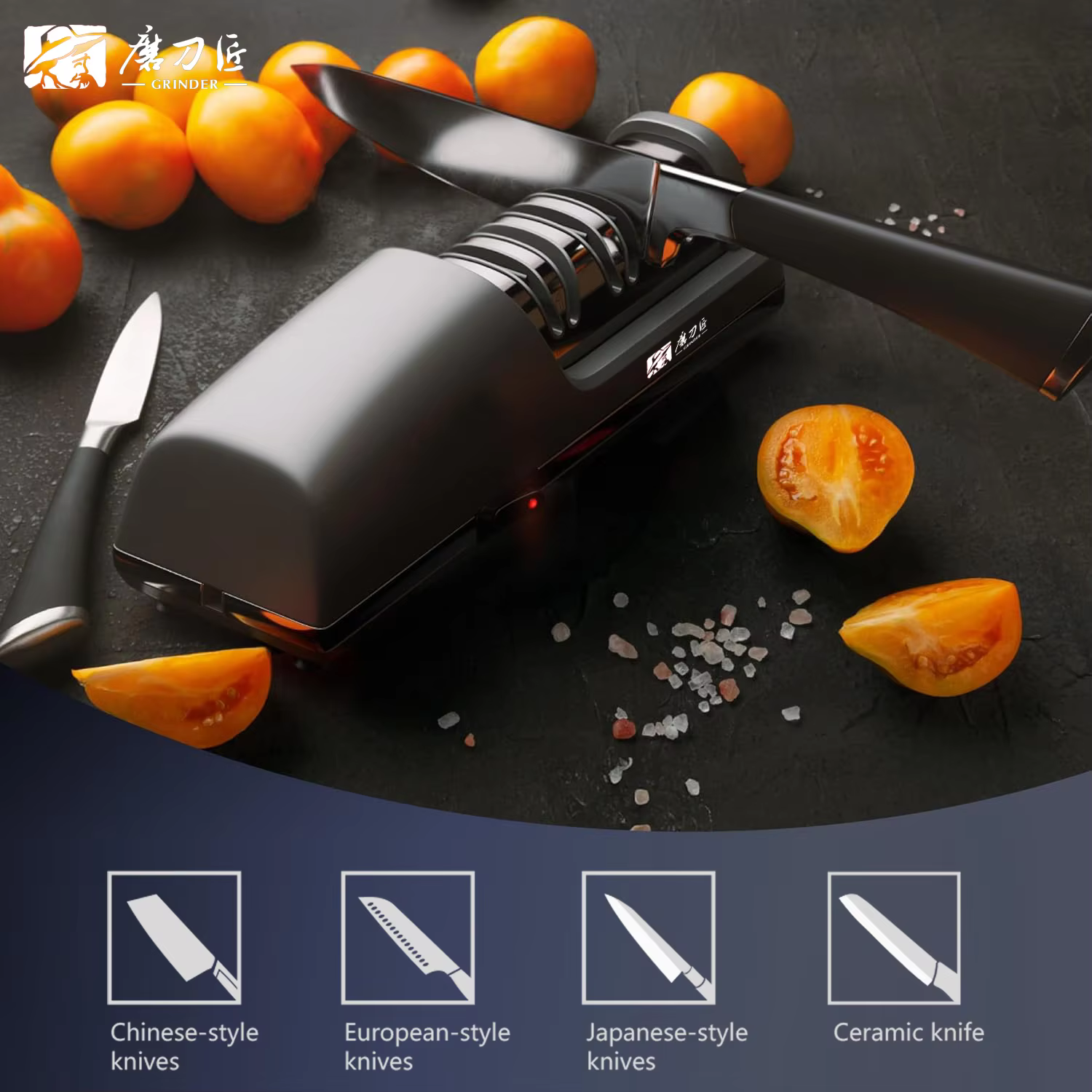 TAIDEA TG2403 Affûteur de couteaux électrique