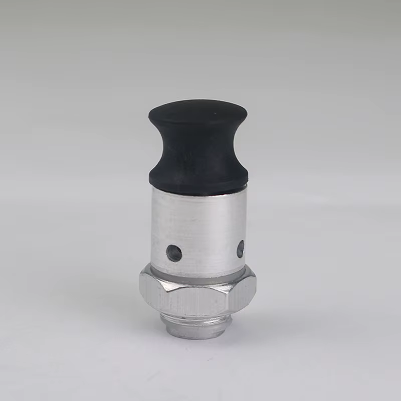 1 accessoire pour autocuiseur