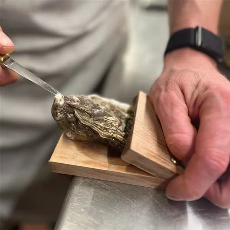 AFOURT - Pince à huîtres en bois avec protège-mains