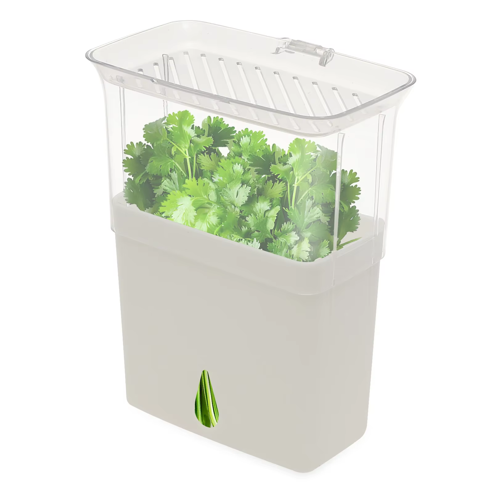 Conteneur de stockage d'herbes transparent