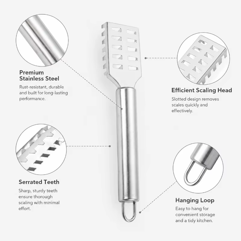 Couteau à écailles de poisson en acier inoxydable avec bord dentelé pour gratter