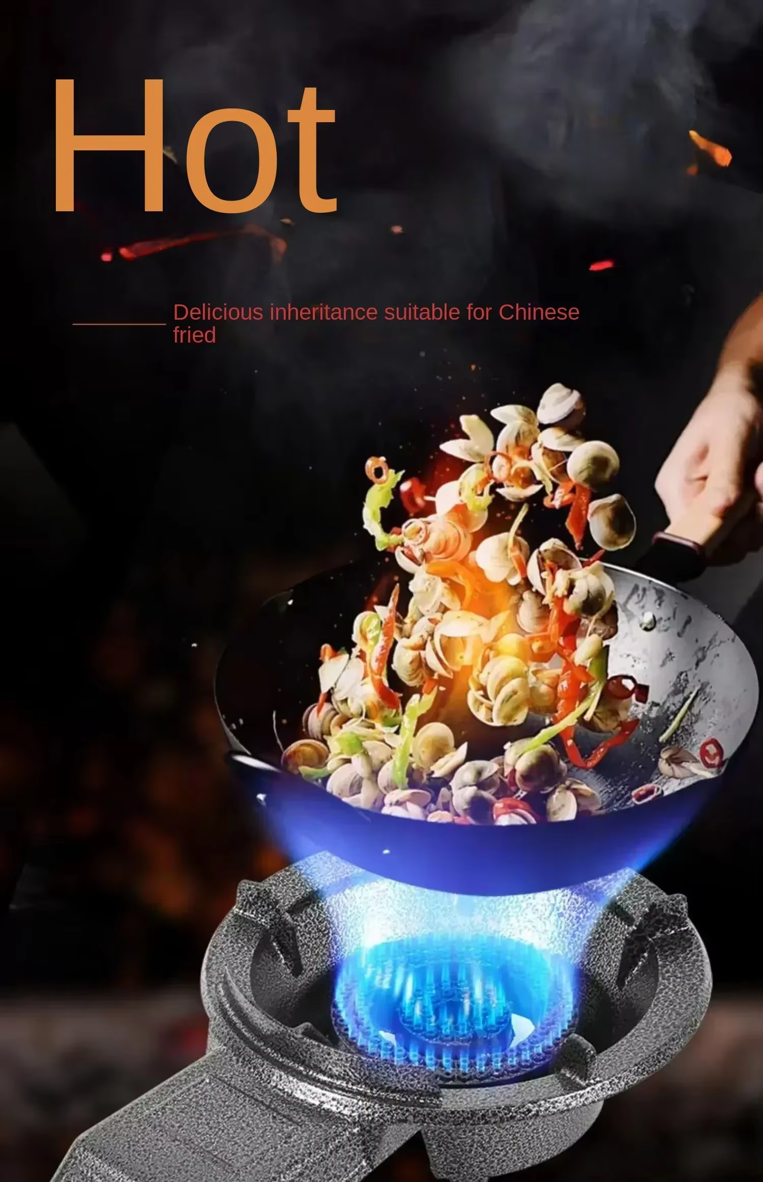 Poêle à gaz puissant pour la cuisine domestique et commerciale – Compatible avec le gaz naturel et le GPL AD
