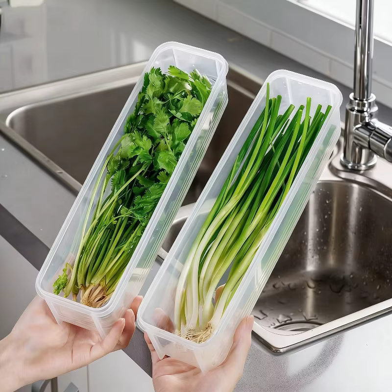 Boîte de conservation pour oignon vert frais