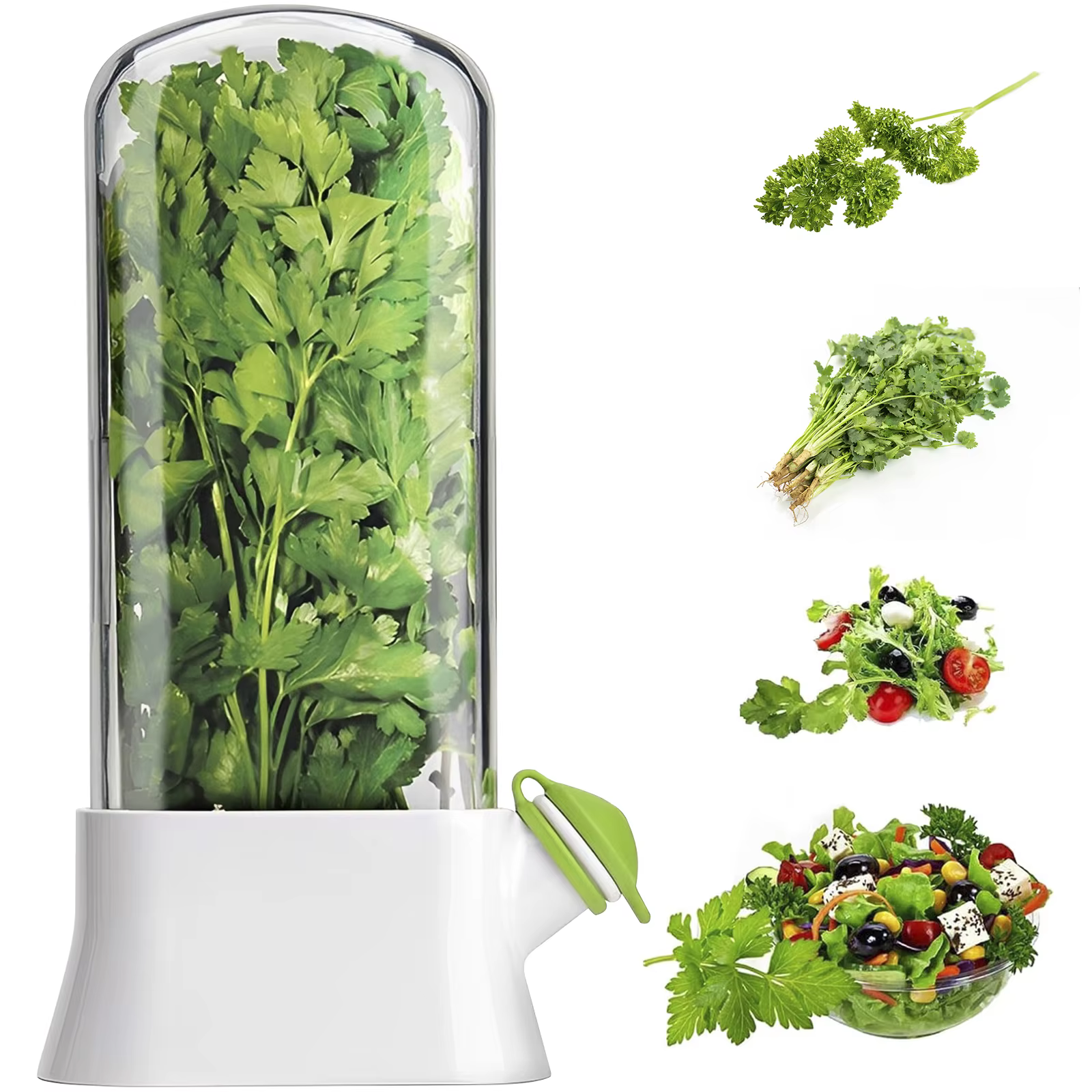 Économiseur d'herbes pour réfrigérateur