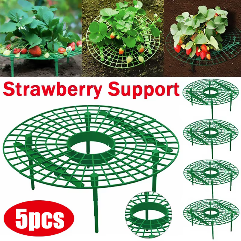 Supports de fraises pour conserver les plantes et les fruits