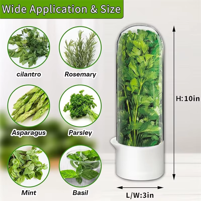 Bouteille de conservation des herbes