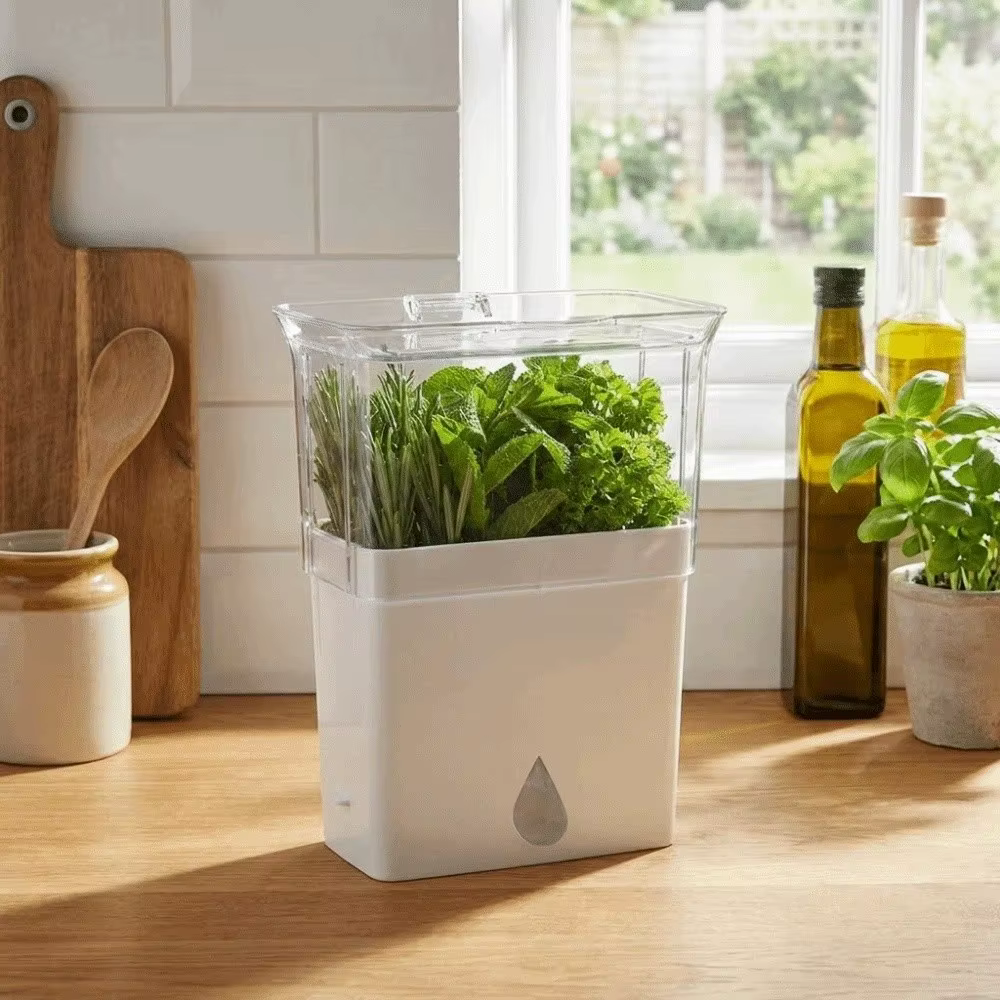 Boîte de conservation des herbes fraîches en plastique multi-usages